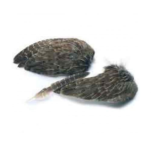 Veniard Ailes de faisan pour pêche à la truite Cover