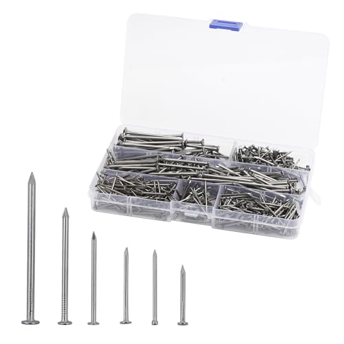 APOMOONS Set ci 700 Chiodi In Acciaio In 6 Misure, da 20 mm A 50 mm Chiodini per Quadri Muro Chiodi Corti E Lunghi per Appendere Quadri, Fai Da Te, In Legno E Cemento, con Scatola di Immagazzinamento