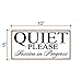 Honey Dew Gifts White Quiet Please Session in Progress 10 inch by 5 inch Hanging Door Sign for Office, Salon, or Commerical Use, 75464