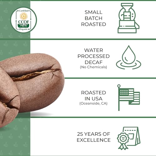 The Bean Organic Coffee Company Il Chicco y Le Bean Molido 453g miniatura 6