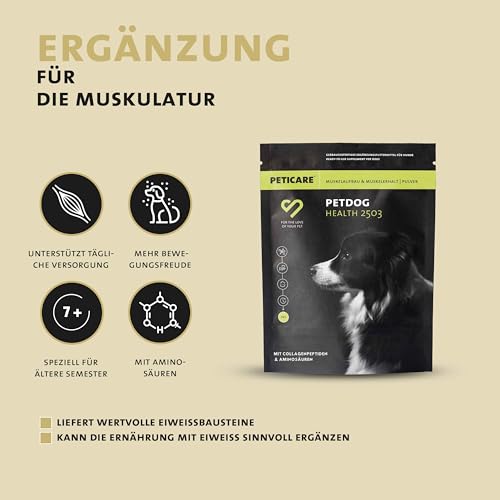 Peticare Muskulatur & Aktiv Pulver-Mix für Hunde | Ergänzungsfuttermittel mit Collagen & Aminosäuren | Unterstützung für Beweglichkeit & Vitalität | für aktive Hunde & Senioren | petDog Health 2503