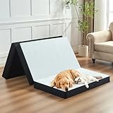 bedsmile 4 Inch Trifold...