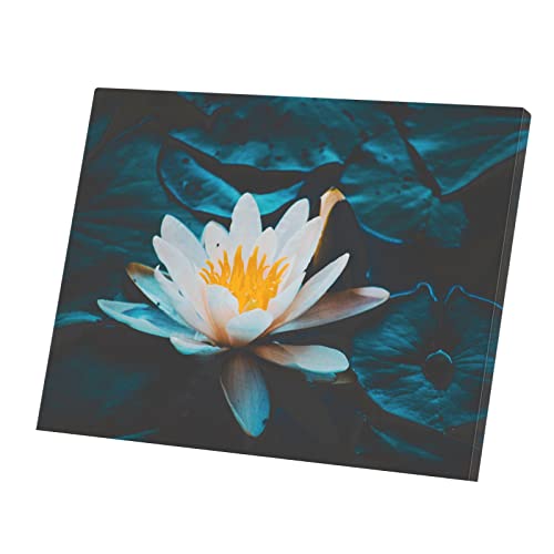 Tableau fleur de lotus 80x60cm pour salon zen et nature