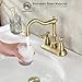 JXMMP Brushed Gold Bathroom Faucet, Stainless Steel 4 inch Centerset Bathroom Faucet with Drain and Supply Hose, 2 Hole Gold Faucet for Bathroom Sink