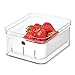 Price comparison product image iDesign 71640EU Fridge Storage Box for Fruit and Berries, Kitchen Storage Made of BPA-Free Plastic, Kitchen Organiser for Food with Built-in Drip Tray, Clear, 21.6 cm x 16.5 cm x 9.5 cm