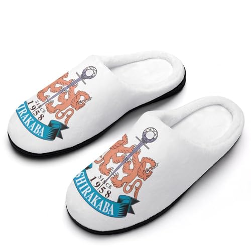 [YIZREOS] [V[Y ~pX É w Z싅 DLO 5 y Xbpg  ʋC 11-12i42-43j