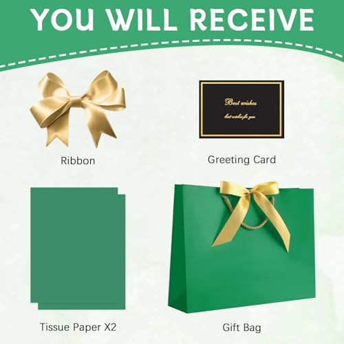 Image of JMANNI Gift Bags with Handles, 13 inch Medium Gift Bag for Presents, 1 Pcs Bags with 2 Tissue Paper and 1 Cards for Baby Shower Wedding Bridal Shower Mother's Day Birthday Party (LightGreen)