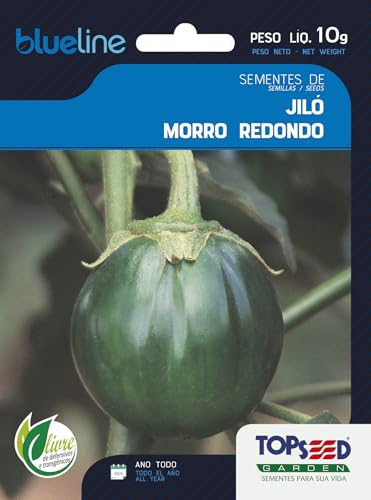 Sementes de Jiló Morro Redondo 10 Gr Topseed