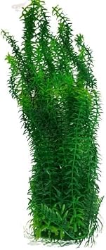 19-20 Inch 50-52cm Tall Extra Large Plastic Green Seaweed Aquarium Plant