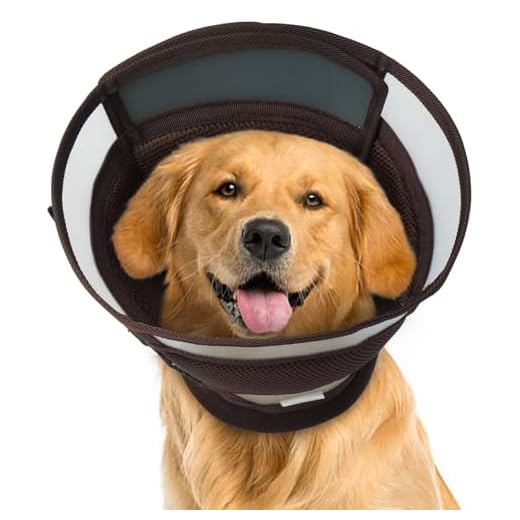 IECOii Post Surgery Dog E-Collar