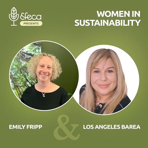 Los Angeles Barea cover art