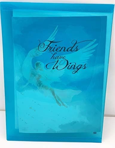 Miniatura 7 de Smiling Wisdom - Tarjeta de felicitación con texto en inglés "Friends Have Wings, They Lift Us To Our Feet When We Fall" y collar de ala de ángel -