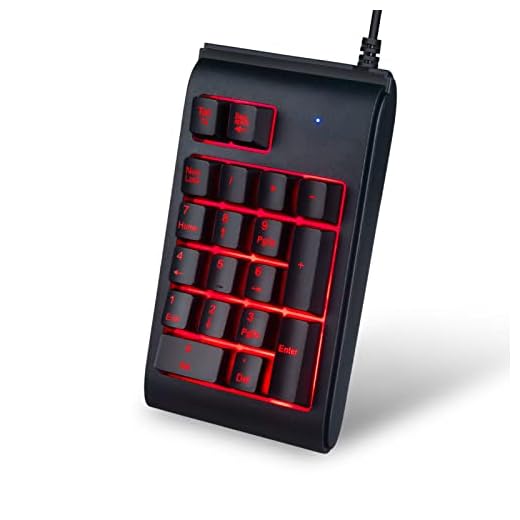 Pocket Backlit Numeric Keypad, 19 Key Number Pad USB Wired Extended Layout Keypad for Laptop and Cashier
