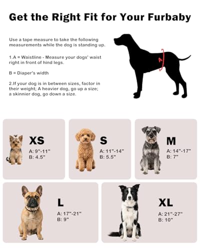 Image of CuteBone Dog Diapers Male Belly Bands 3 Pack for Male Dogs Reusable Puppy Wraps