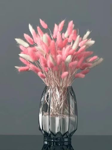 Pampas Grass Decor Tall 60Pzs Flores Secas miniatura 6