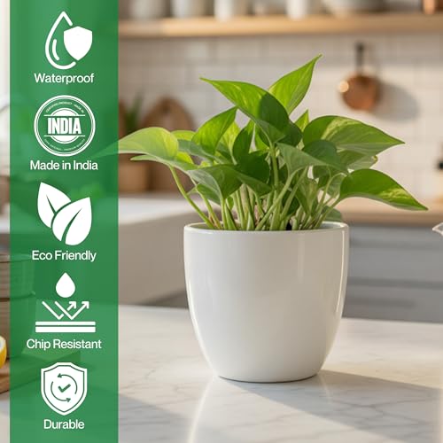 Image of Lasaki Andora 4 inch White Ceramic Pots for Indoor Plants, Planters,gamla,Outdoor,Balcony,Home,Round,Garden, Office Decor,Succulent(H - 9.5 X D - 11 cm)(Plants not Included)