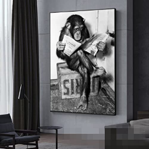 Affiche murale singe journal pour masquer un mur vide avec humour 40x60