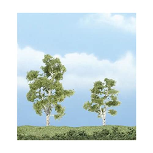 Sycomore Premium 7,6 cm et 5,7 cm x2 pour embellir votre décoration intérieure
