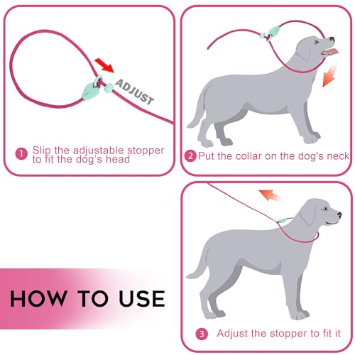 Dog Training Leash Slip Leads for Dogs 6 FT Slip Leash for Dogs Dog Lead with 6 Colors Strong Nylon No Pull Rope Dog Leash Dog Leashes for Small Medium Dogs (Rose Red) Dog Training Leash Slip Leads for Dogs 6 FT Slip Leash for Dogs Dog Lead with 6 Colors Strong Nylon No Pull Rope Dog Leash Dog Leashes for Small Medium Dogs (Rose Red)