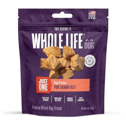 Whole Life Dog Just One Salmon Freeze Dried Dog Treats - Human Grade High Protein Food, Healthy Training Snacks, Freeze Dried Salmon Food Toppers, USA Made Natural Treats - 8 oz (Value Pack of 1)