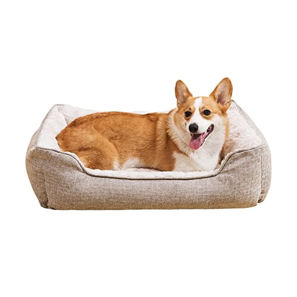 LIOOPET Medium Dog Bed – Washable Orthopedic Dog Bed for Medium Dogs up to 50lbs, Rectangle Medium Dog Bed with Sides and Nonskid Bottom, Waterproof Dog Couch Bed LIOOPET Medium Dog Bed – Washable Orthopedic Dog Bed for Medium Dogs up to 50lbs, Rectangle Medium Dog Bed with Sides and Nonskid Bottom, Waterproof Dog Couch Bed