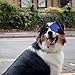 JUMPLAWN Verstellbare Hund Augenklappe aus Atmungsaktivem Polyester Weiche Schützende Augenbinde für Hunde mit Augenverletzungen Vielseitig Einsetzbar Leicht zu Reinigen und Anpassbar für