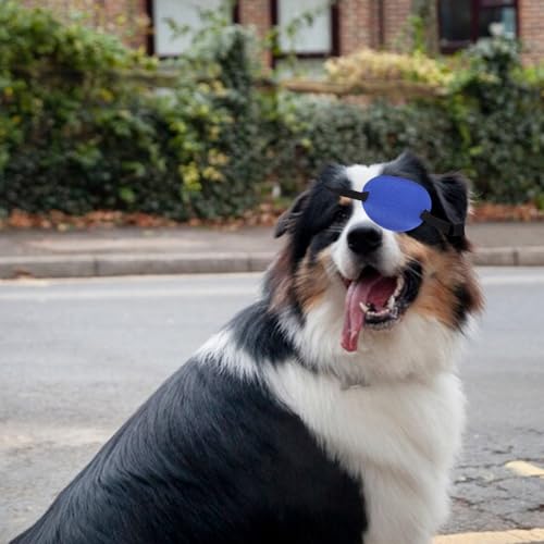 JUMPLAWN Verstellbare Hund Augenklappe aus Atmungsaktivem Polyester Weiche Schützende Augenbinde für Hunde mit Augenverletzungen Vielseitig Einsetzbar Leicht zu Reinigen und Anpassbar für