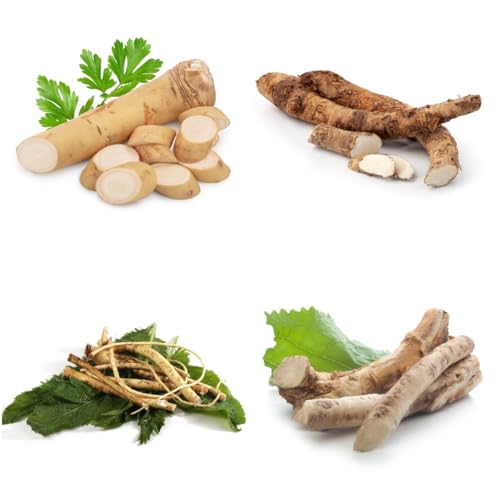 semi di rafano resistenti, biologici vecchie varietà balcone serra, giardino, biologici 125pcs