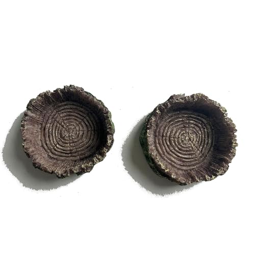 Qhinaster 2 peças alimentador de répteis prato de comida e água com pinças de alimentação, conjunto