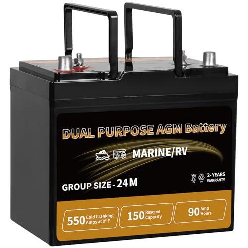 Weize Dual Purpose AGM Group 24M