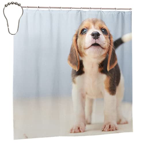 r[O̎q x[VbN V[J[e 183×183cm tbNt hJr h jbgoX J[e  ze  oXpi