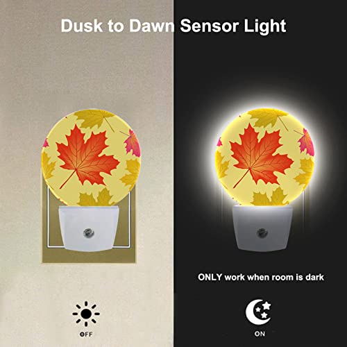 Image of EKOBLA Maple Leaf Night Light, Autumn Fall Leaves Night Lights Plug Into Wall with Dusk to Dawn Sensor for Bedroom, Bathroom, Hallway and Fall Decor