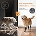 PICK FOR LIFE 2 Paar Anti-Rutsch-Hundesocken, Weiche Socken für den Pfotenschutz von Hunden mit verstellbarem Klettverschluss für Innenbereich