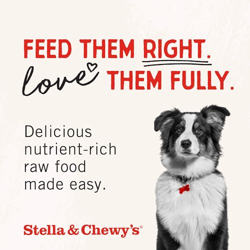 Stella & Chewy's Baked Kibble, Raw Coated Grass-Fed Lamb, 22 lb - image 7