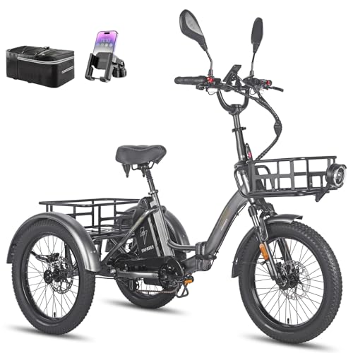 Fafrees F20 Mate E-Bike Dreirad, 3 Rad Ebike 48V 21Ah Akku, E Bike Klapprad 20*3.0 Zoll, Lastenfahrrad für Erwachsene 65N.m, Elektro Dreirad für Senioren (Vorderer Korb + kleiner hinterer Korb, Grau)