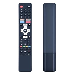 GOUYESHO Ersatz Fernbedienung für Dyon Smart AD-2 (32 40 42 43 55 Zoll) Android TV D800207 D800208 D800213 D800209 D800220 (Keine Stimme)