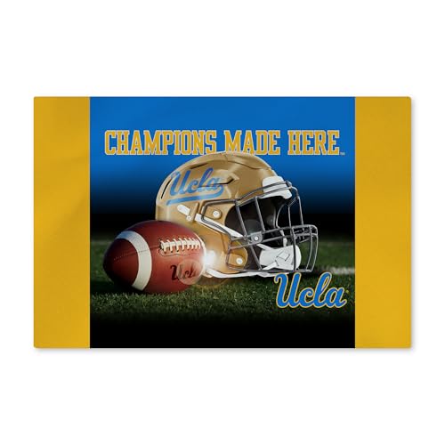 Northwest NCAA 20 X 32 Inch Washable Area Floor Rug, UCLA Bruins
