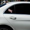 Rensselaer Polytechnic Institute Primary Logo Premium 4" Die Cut Vinyl Sticker Decal for Cars Trucks Auto Windows #3
