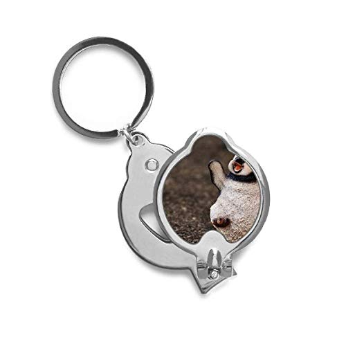 Coupe-ongles Antarctique pour la manucure festive de Noël