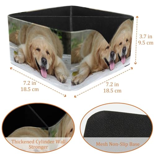 Organiseur de bureau pour chien avec 4 compartiments et porte-crayons intégré - 4