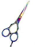 ZZZRT ZD-2000 J2 Japanese Steel Dragon design New Professional Razor Edge Titanium Hairdressing Barber Salon Scissor/Shear 5.5