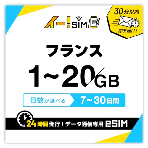 yeSIMztX eSIM C[SIMIb1ԈȓɔsbCOsEobLINET|[gb{ŊȒPݒ