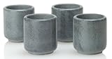 Teroforma Set of 4 Grey 2oz. Soapstone Ekke Shot Glasses