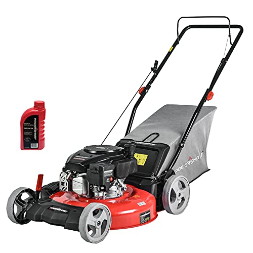 Top 10 Gas Powered Lawn Mowers of 2022 Katynel