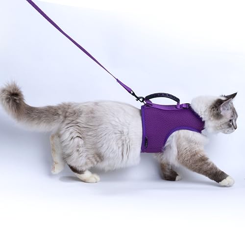 Image of Cat Harness and Leash for Walking Escape Proof Breathable Mesh Fabric, Purple, Large, Adjustable Cat Walking Jackets with Handle, Padded Stylish Cat Vest