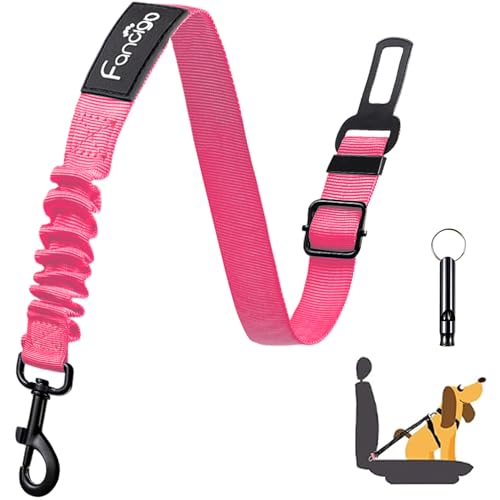 fancigo ԗppV[gxg߉\ȌpSV[gxg߉\ȃXgbvA͂ȃiCnAoW[obt@[̎qJ[V[gxg(lIsN - 1pbN)