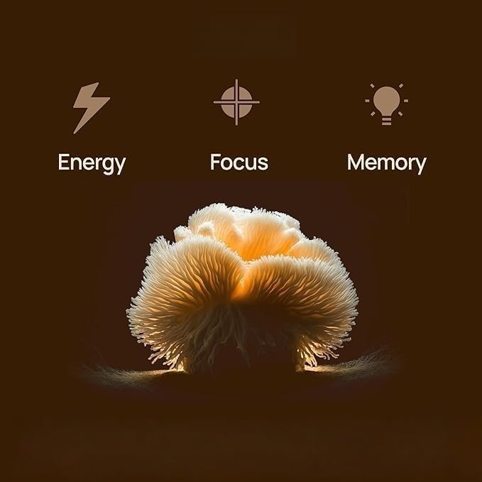 Lions Mane solution fatigue mentale et soutien à la santé cognitive