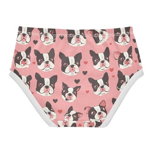 Wusikd Cute Boston Terrier Girls' Underwear Cotton Hearts Girls Briefs Soft Toddler Underwear 2T2