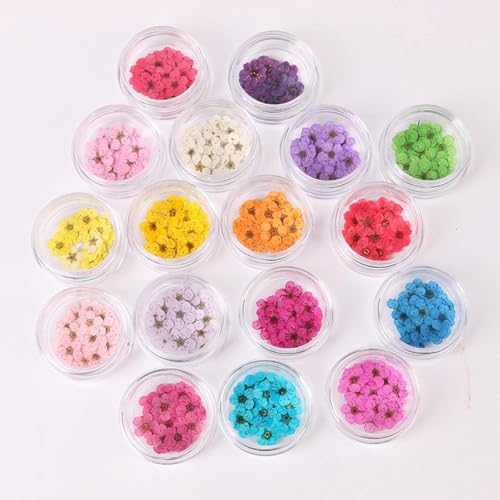 100 piezas flores prensadas secas para arte de uñas DIY miniatura 2