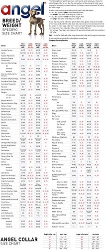 Angel Pet Supplies Inc. Genuine Leather Rotterdam Hearts Studded Dog Collar By Angel Pet. Soft And Durable Padded Leather. (14” X 3/4”, Midnight Black), 41350 #TOP4